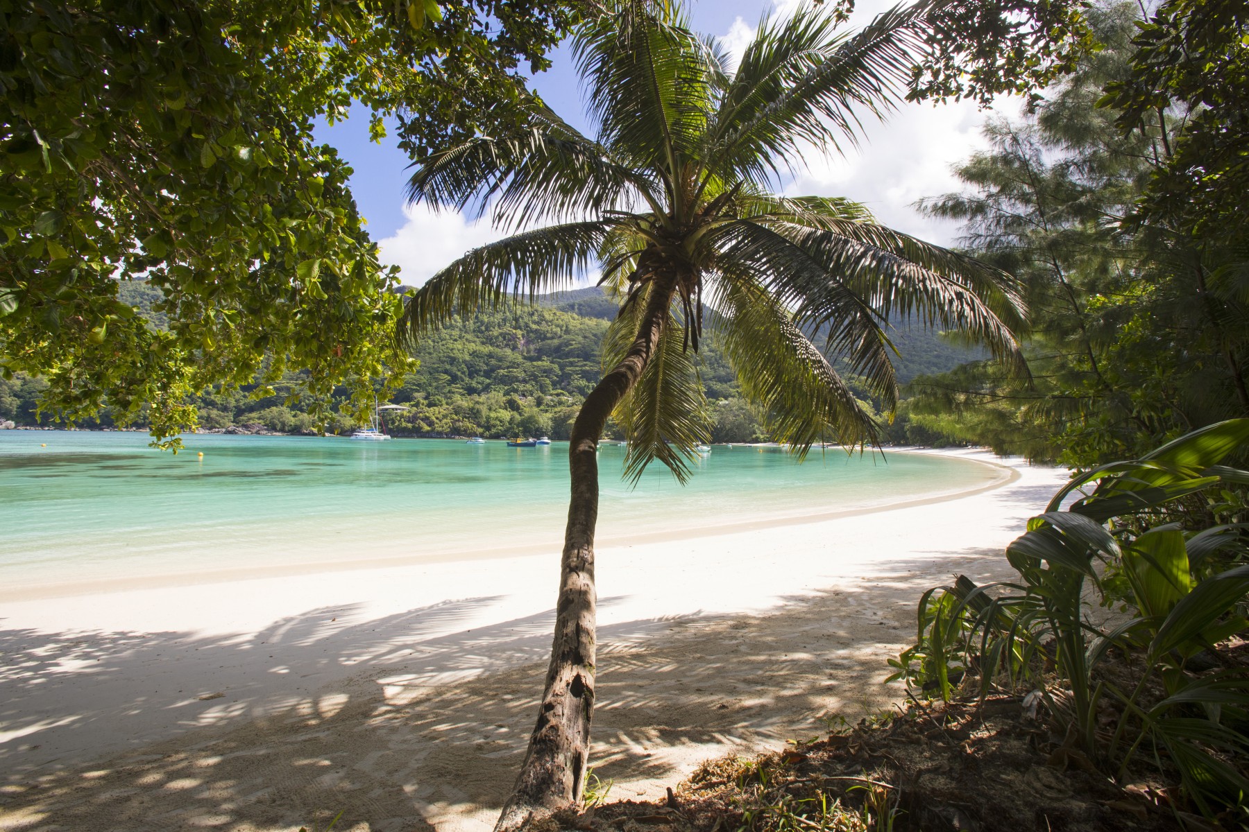 Constance Ephelia Seychelles